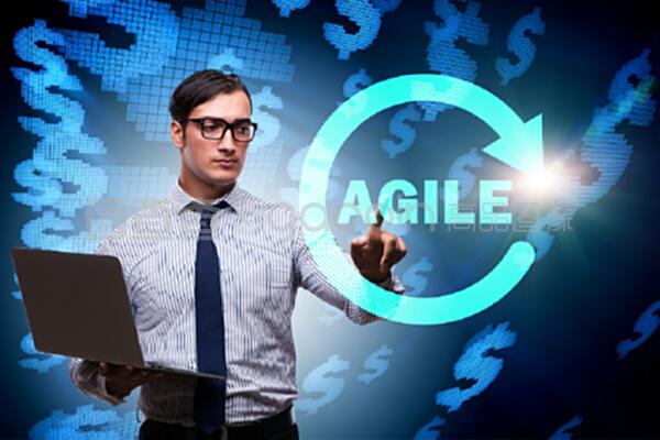 敏捷軟件開(kāi)發(fā) 擁抱變化，持續(xù)交付價(jià)值的核心理念與實(shí)踐